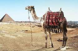 Frühbucher Nilkreuzfahrt – Premium-Kabinen und Sonnendeck